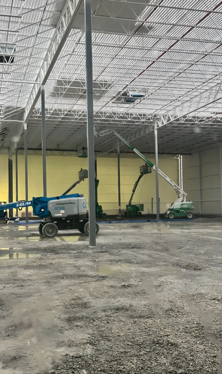 Painted (Image Content)